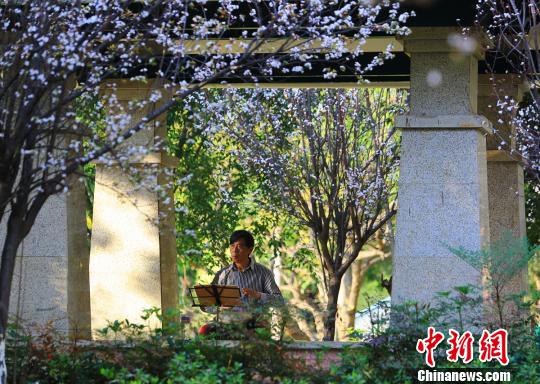 「太陽(yáng)に愛(ài)された場(chǎng)所」米易県の溫かい冬　四川省