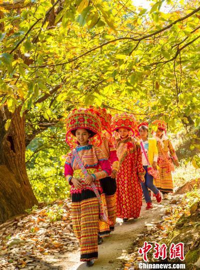 「太陽に愛された場(chǎng)所」米易県の溫かい冬　四川省