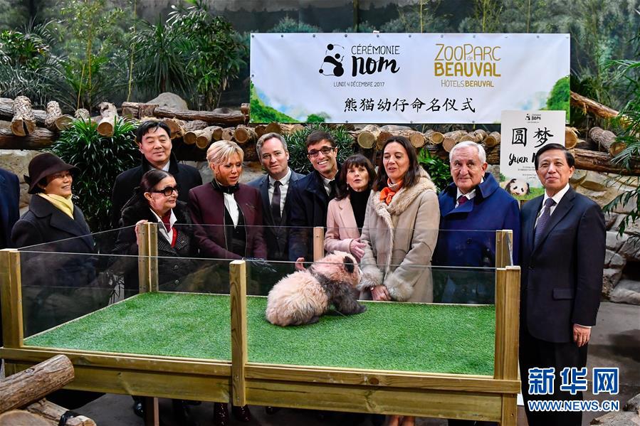 フランスで初めて生まれた赤ちゃんパンダ、「圓夢(mèng)」と命名