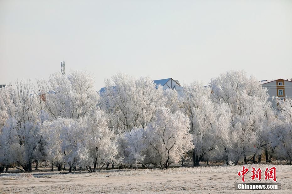 幻想的で美しい樹(shù)氷景色広がる新疆カバ県
