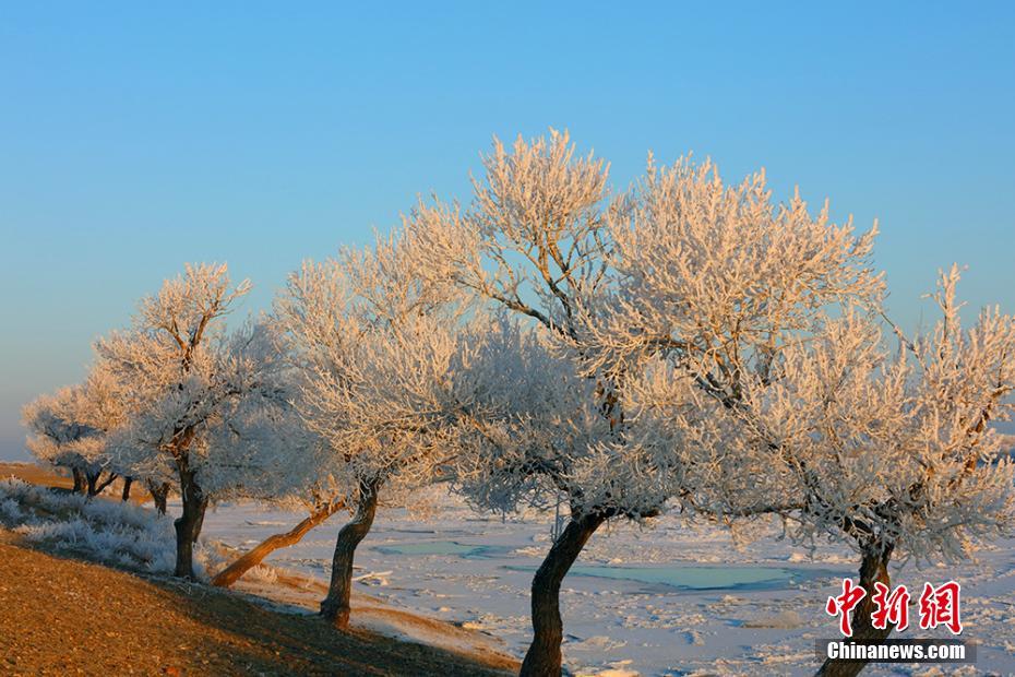 幻想的で美しい樹(shù)氷景色広がる新疆カバ県