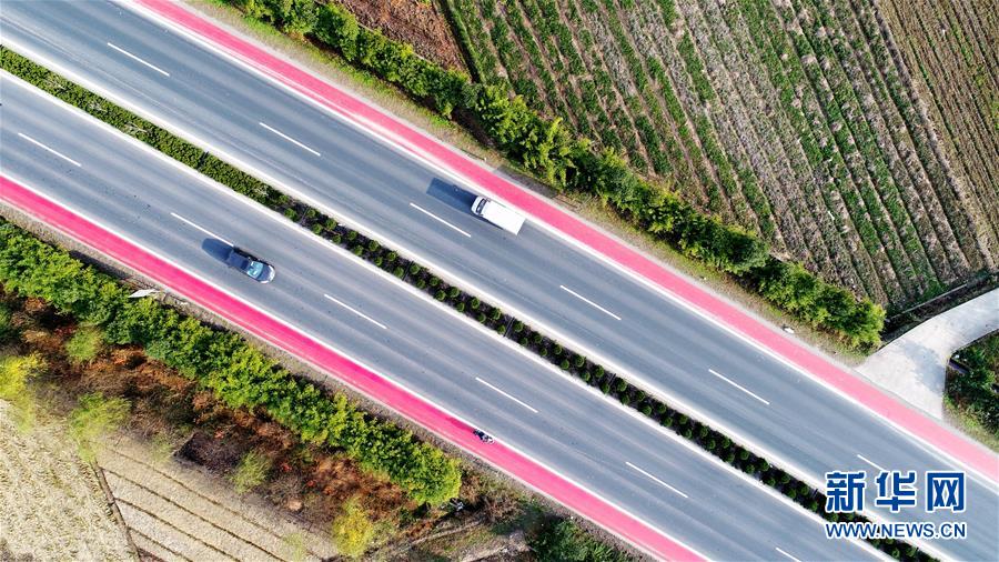 道路に明るい彩り添える　浙江省の省道にカラフルな自転車専用レーン登場