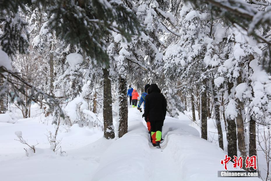 あたり一面に広がる美しい樹氷　黒竜江省鳳凰山國家森林公園