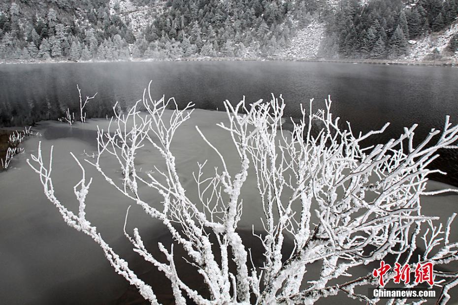 銀の裝いをまとった木々　四川省の景勝地の美しい雪景色