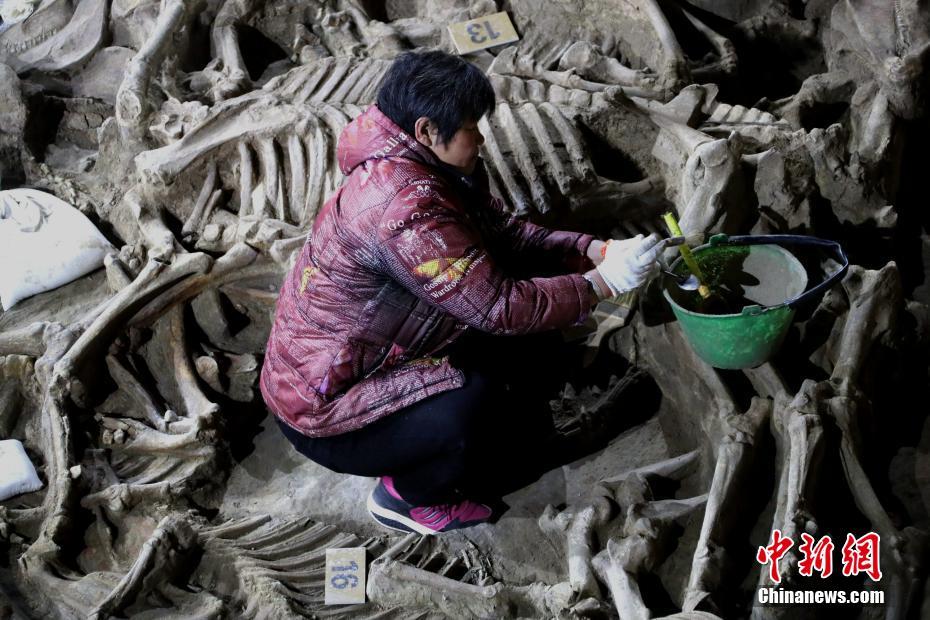 河南省の鄭韓故城から出土の2400年前の豪華な馬車の様子明らかに