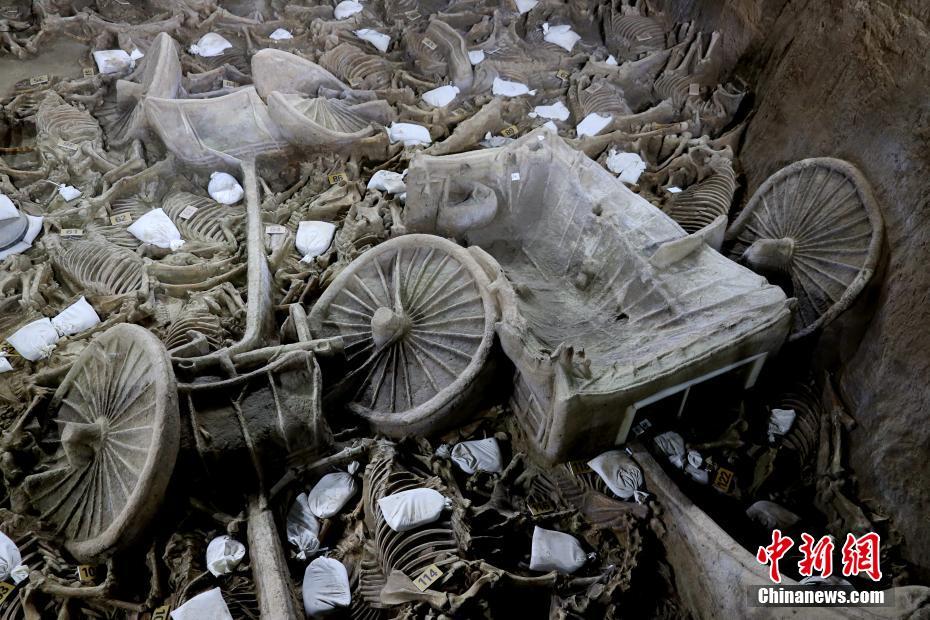 河南省の鄭韓故城から出土の2400年前の豪華な馬車の様子明らかに