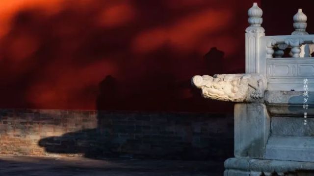 故宮博物院専屬カメラマンの仕事とは？