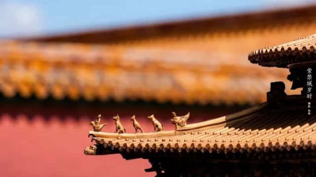 故宮博物院専屬カメラマンの仕事とは？