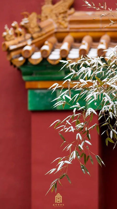 故宮博物院専屬カメラマンの仕事とは？