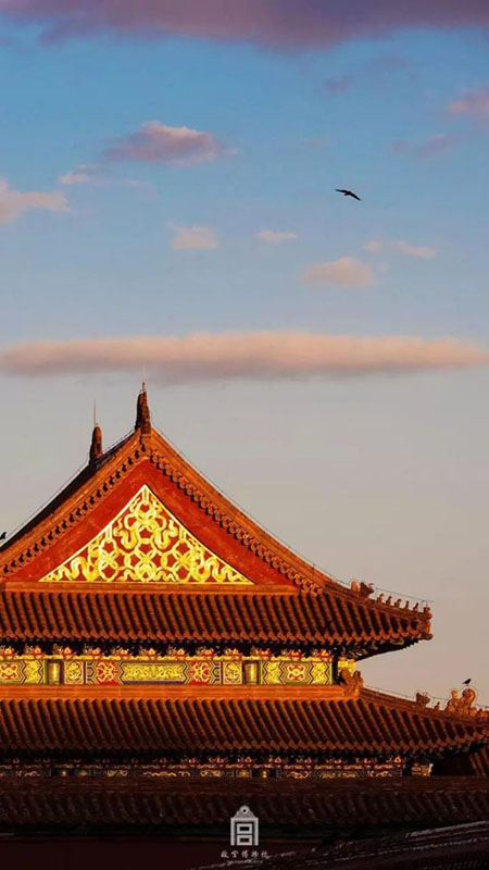 故宮博物院専屬カメラマンの仕事とは？