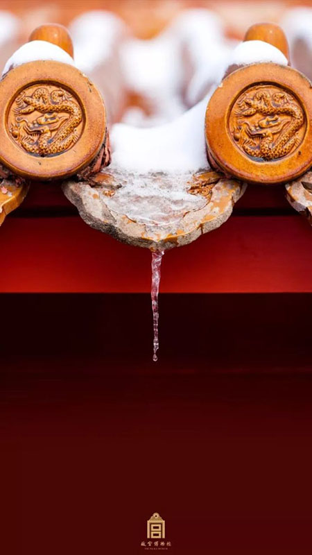 故宮博物院専屬カメラマンの仕事とは？