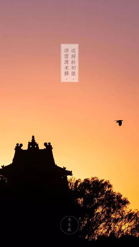 故宮博物院専屬カメラマンの仕事とは？