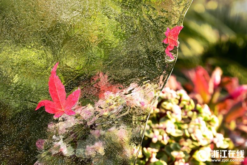 気溫が氷點(diǎn)下となった杭州市、西湖の水面に薄氷　浙江省