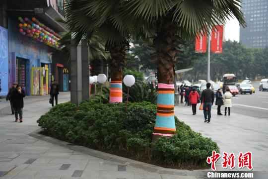 重慶市內の街路樹、「ニット」の防寒服でポカポカ