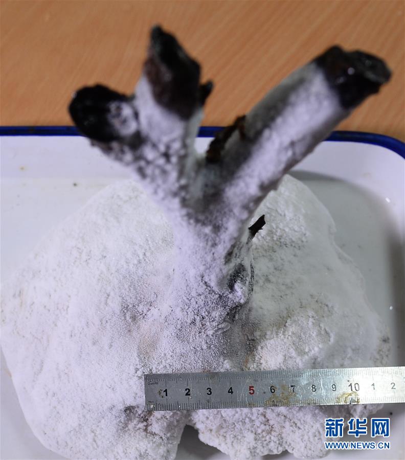 中國(guó)の「神器」が深海の奧深くを探る