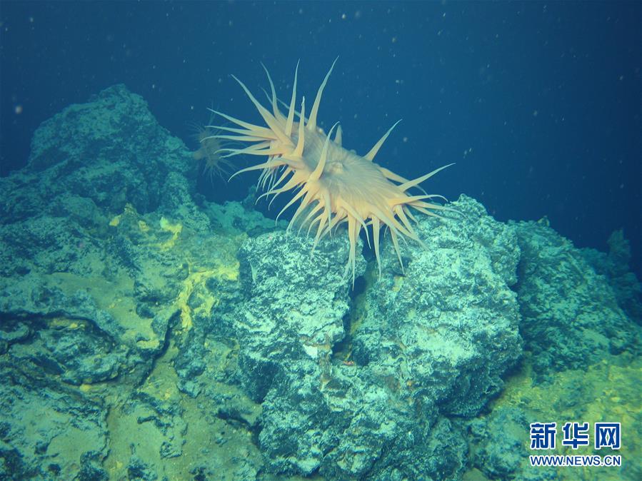 中國の「神器」が深海の奧深くを探る