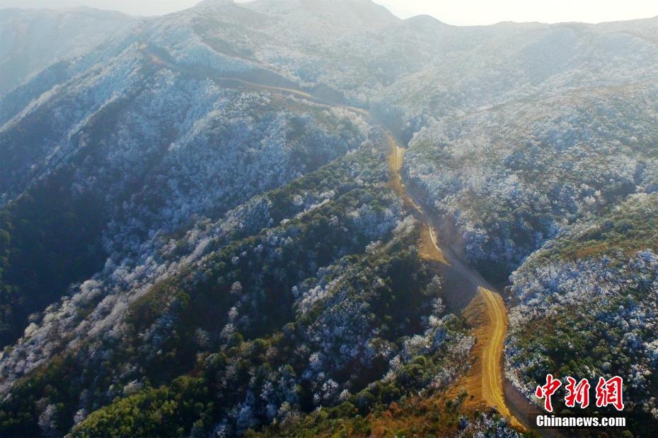 山肌一面に広がる幻想的な樹氷　江西省石城県八卦脳景勝區(qū)