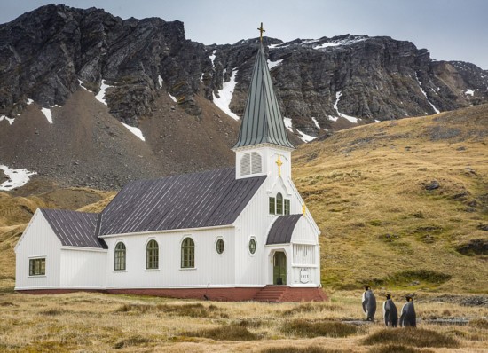 「コメディ?フォトグラフィー?アワード2017」グランプリ作品発表