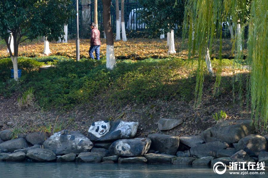 杭州市の川辺の巖に「パンダ」や「馬雲會長」の絵 浙江省