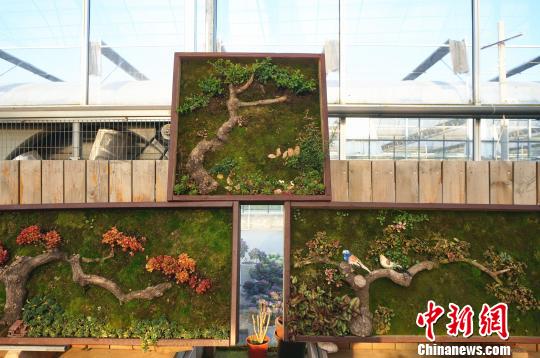 木枠に植物を植えこんで描いた壁掛け植物アート