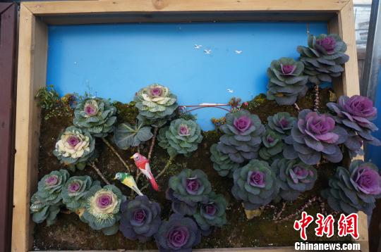 木枠に植物を植えこんで描いた壁掛け植物アート