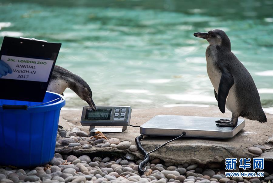 癒し度満點のアニマル大集合