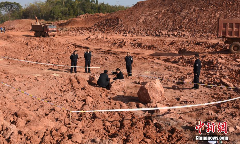 江西省で恐竜の化石が発見、1億3000萬年前のものか