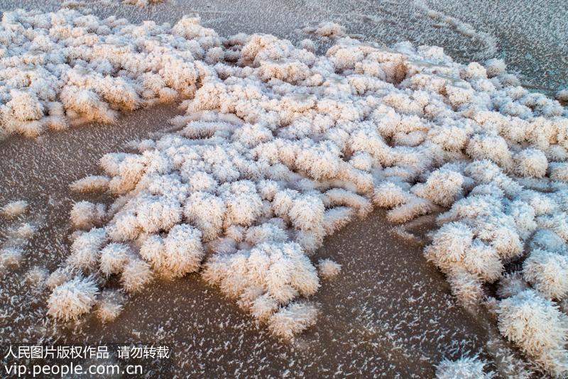 ダイヤモンドのような輝き　塩湖で「硝松」現(xiàn)象観測(cè)　山西省