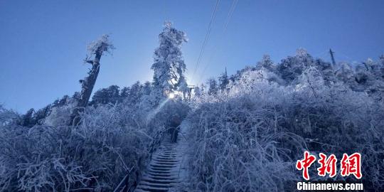 瓦屋山景勝地で今年最初の雪　人々魅了する樹(shù)氷広がる　四川省