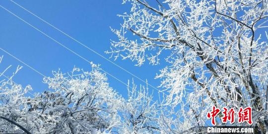 瓦屋山景勝地で今年最初の雪　人々魅了する樹氷広がる　四川省