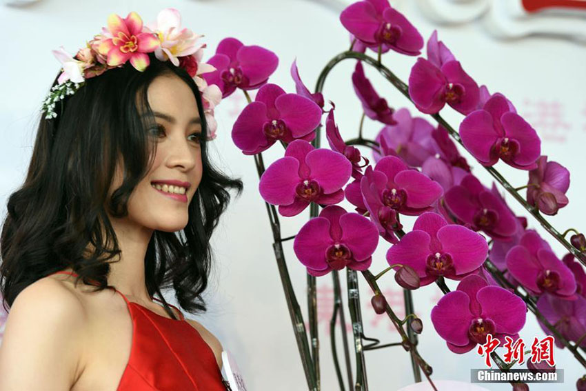 香港地區(qū)で春節(jié)祝賀の「新春花市」が開催　一際目を引く鮮やかな胡蝶蘭