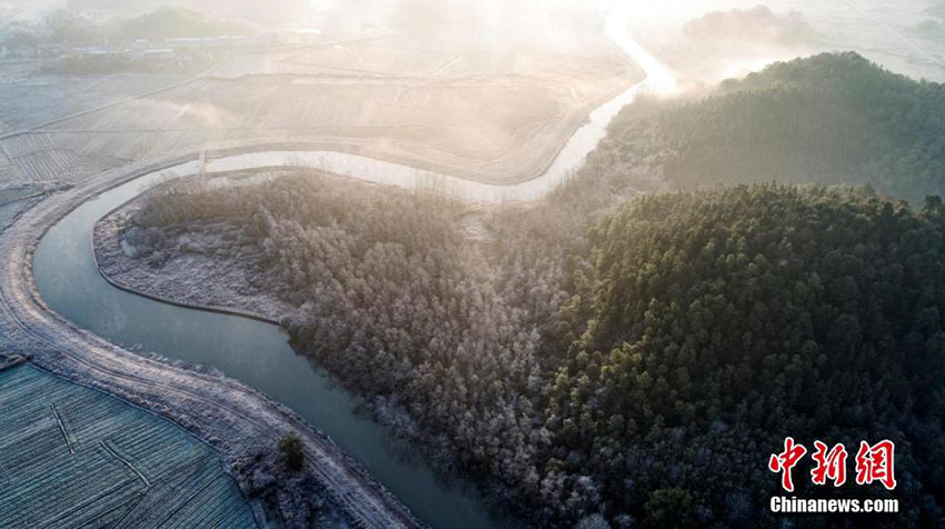 冬の仙女湖、霜により緑と白の美しいコントラスト見せる　江西省