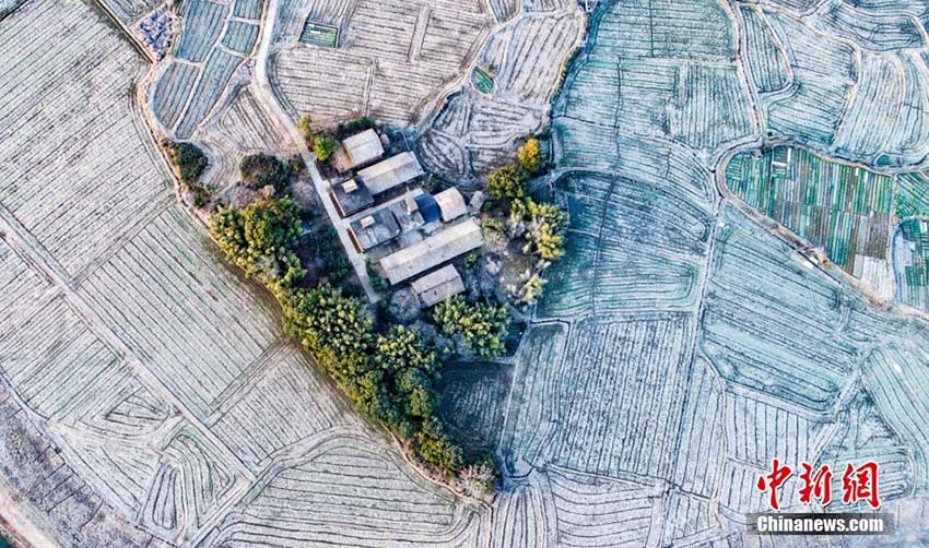 冬の仙女湖、霜により緑と白の美しいコントラスト見せる　江西省