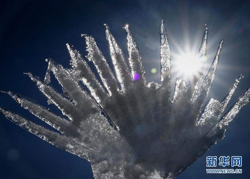 自然界が作り出した幻想的な美しさの「ミクロ世界の氷の彫刻」　河南省