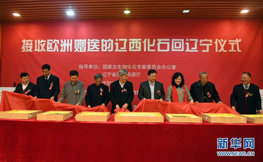 歐州に流出した恐竜と鳥の化石が中國に帰郷