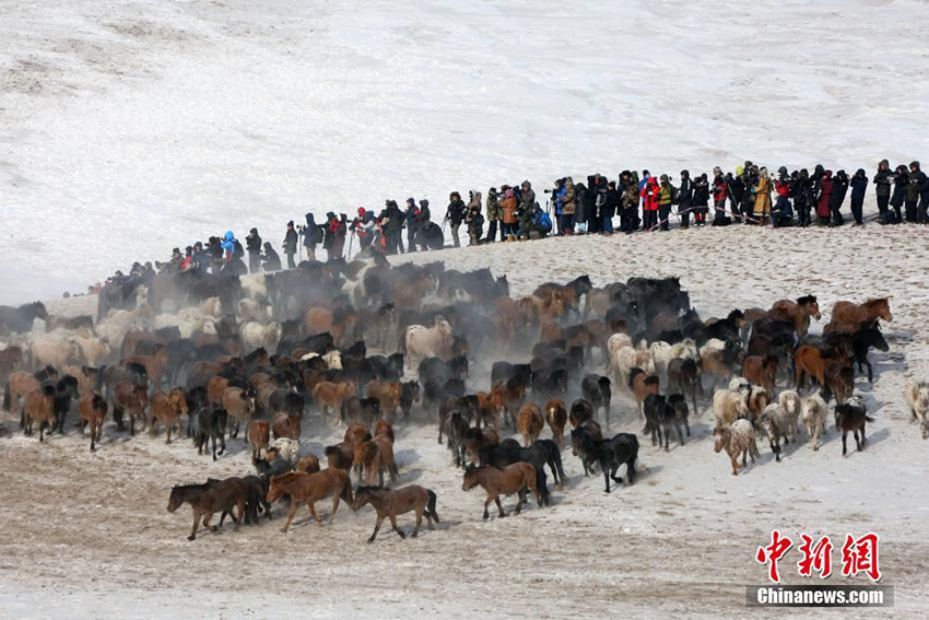 內(nèi)蒙古自治區(qū)錫林郭勒盟で2018年氷雪ナーダムが開催