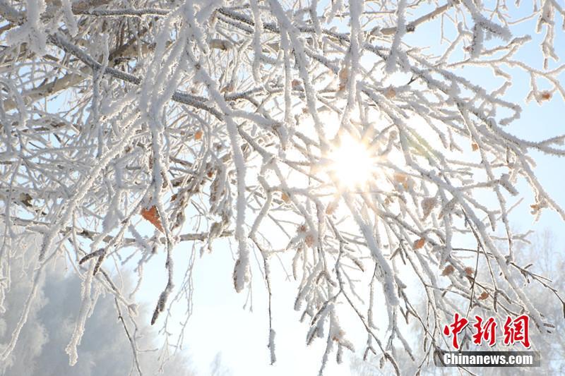 一面の銀世界！樹氷で有名な新疆の沖乎爾鎮(zhèn)