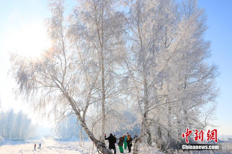 一面の銀世界！樹氷で有名な新疆の沖乎爾鎮(zhèn)