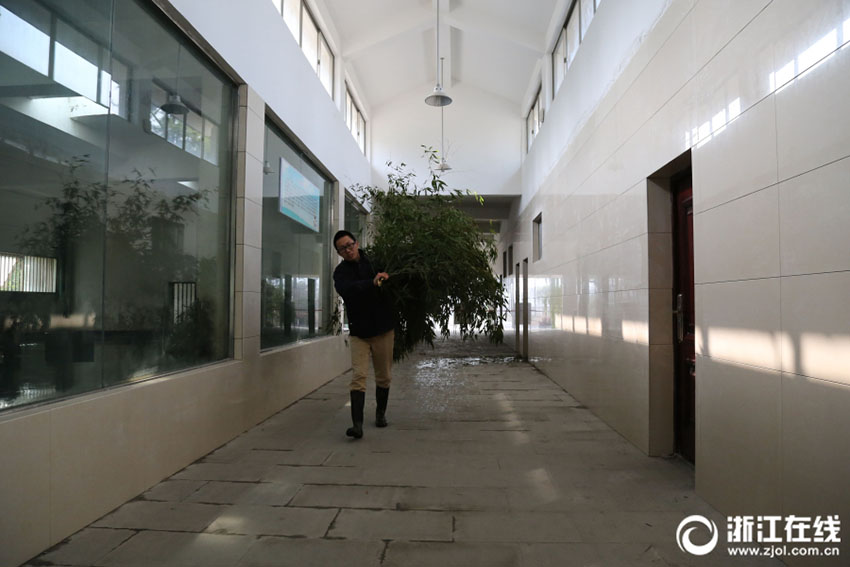 家族のようにパンダを育てる　パンダの「糞処理係」の幸せな日々