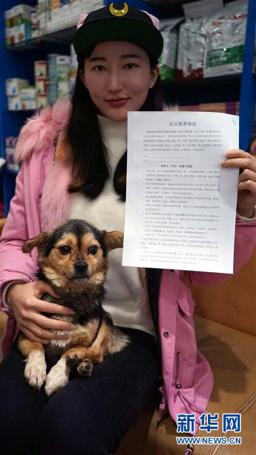 江西省南昌市で初の野良犬引取り窓口開設(shè)