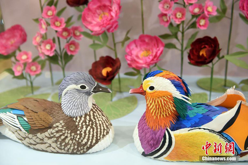 香港地區(qū)で鳥(niǎo)のペーパークラフト展　絶滅危懼種の鳥(niǎo)について學(xué)ぶ機(jī)會(huì)に