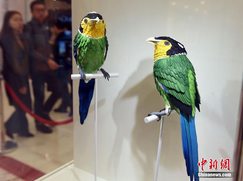 香港地區(qū)で鳥のペーパークラフト展　絶滅危懼種の鳥について學(xué)ぶ機(jī)會に