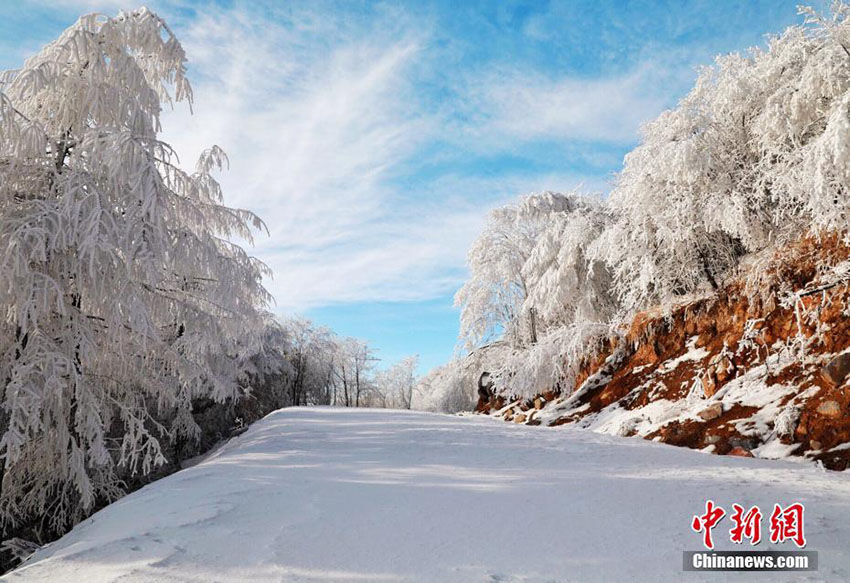 湖北省?？当h後坪鎮(zhèn)で観測された美しい樹氷の景色