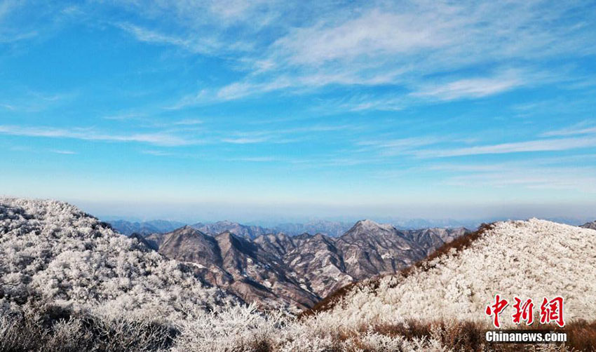湖北省?？当h後坪鎮(zhèn)で観測された美しい樹氷の景色