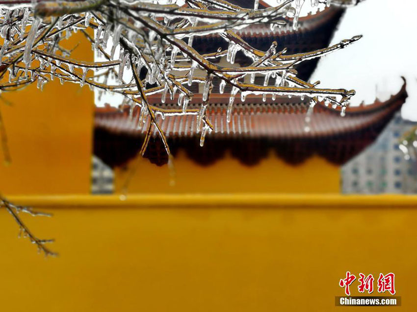 厳かな雰囲気漂う黃色い壁と赤い瓦、古剎の趣ある冬景色　江西省