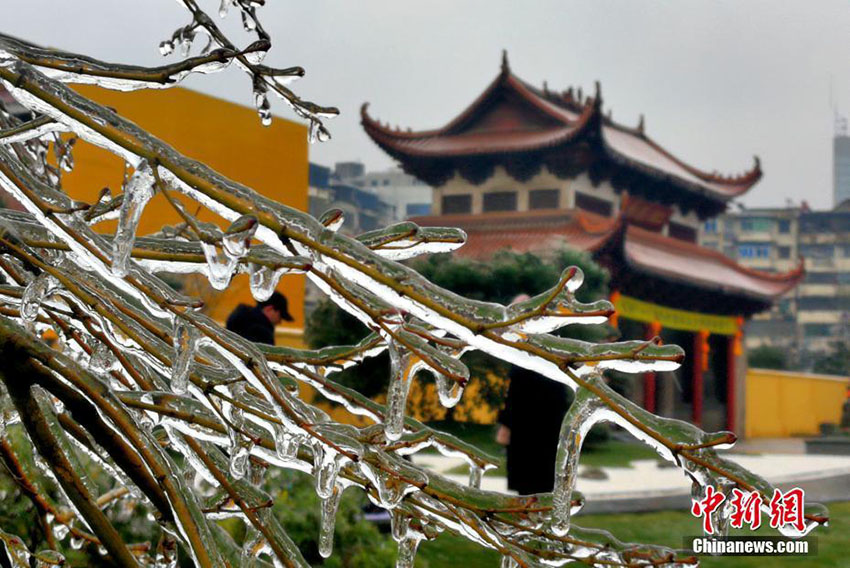 厳かな雰囲気漂う黃色い壁と赤い瓦、古剎の趣ある冬景色　江西省