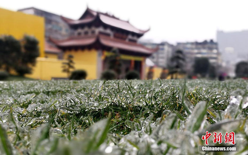 厳かな雰囲気漂う黃色い壁と赤い瓦、古剎の趣ある冬景色　江西省