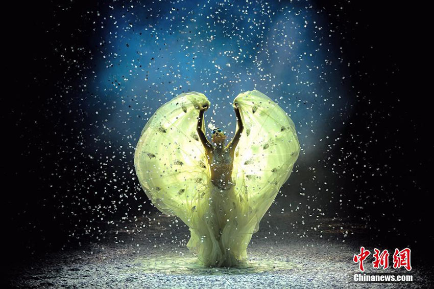 楊麗萍主演の舞臺劇「孔雀の冬」が天津大劇院にて公演