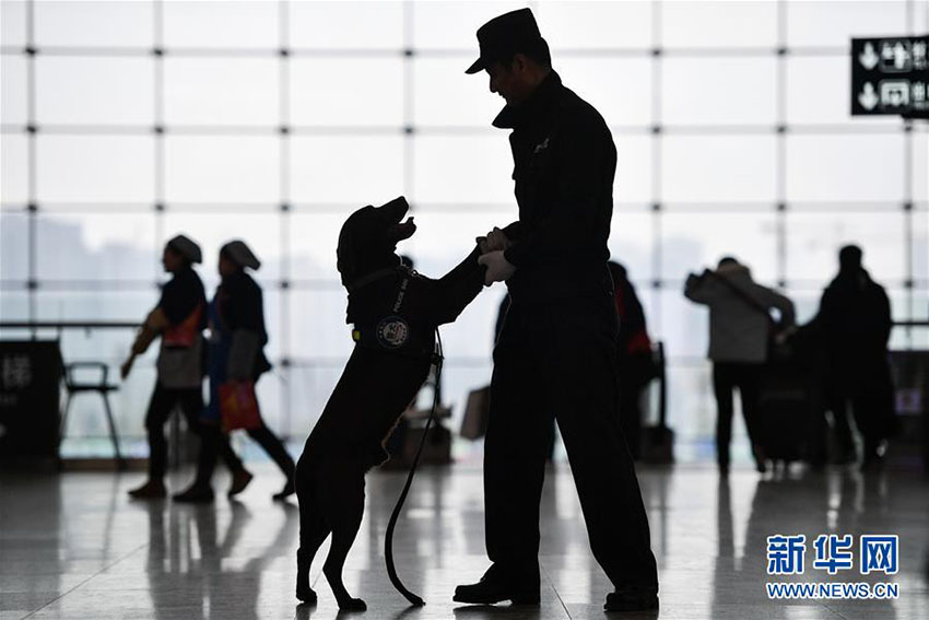 春運(yùn)スタート、警察犬の「王子」を駅に配備　四川省