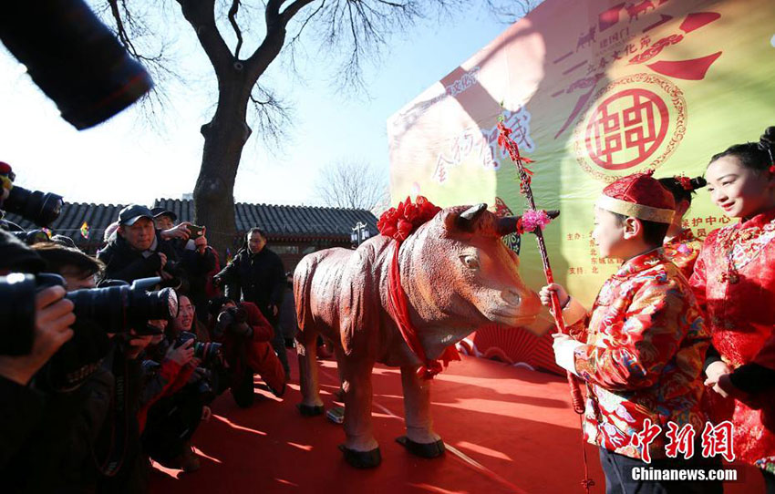 2月4日は立春、中國各地で様々なイベント